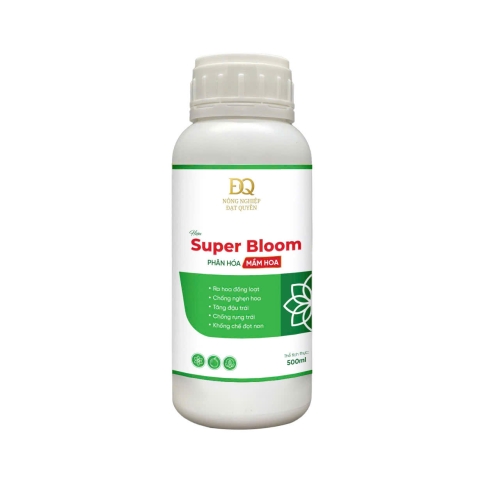 blom-blum--super blom phân hóa tạo mầm hoa 