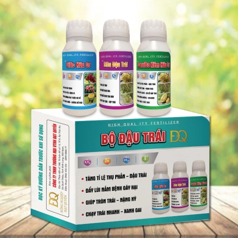 BỘ ĐẬU TRÁI-SIÊU ĐẬU TRÁI